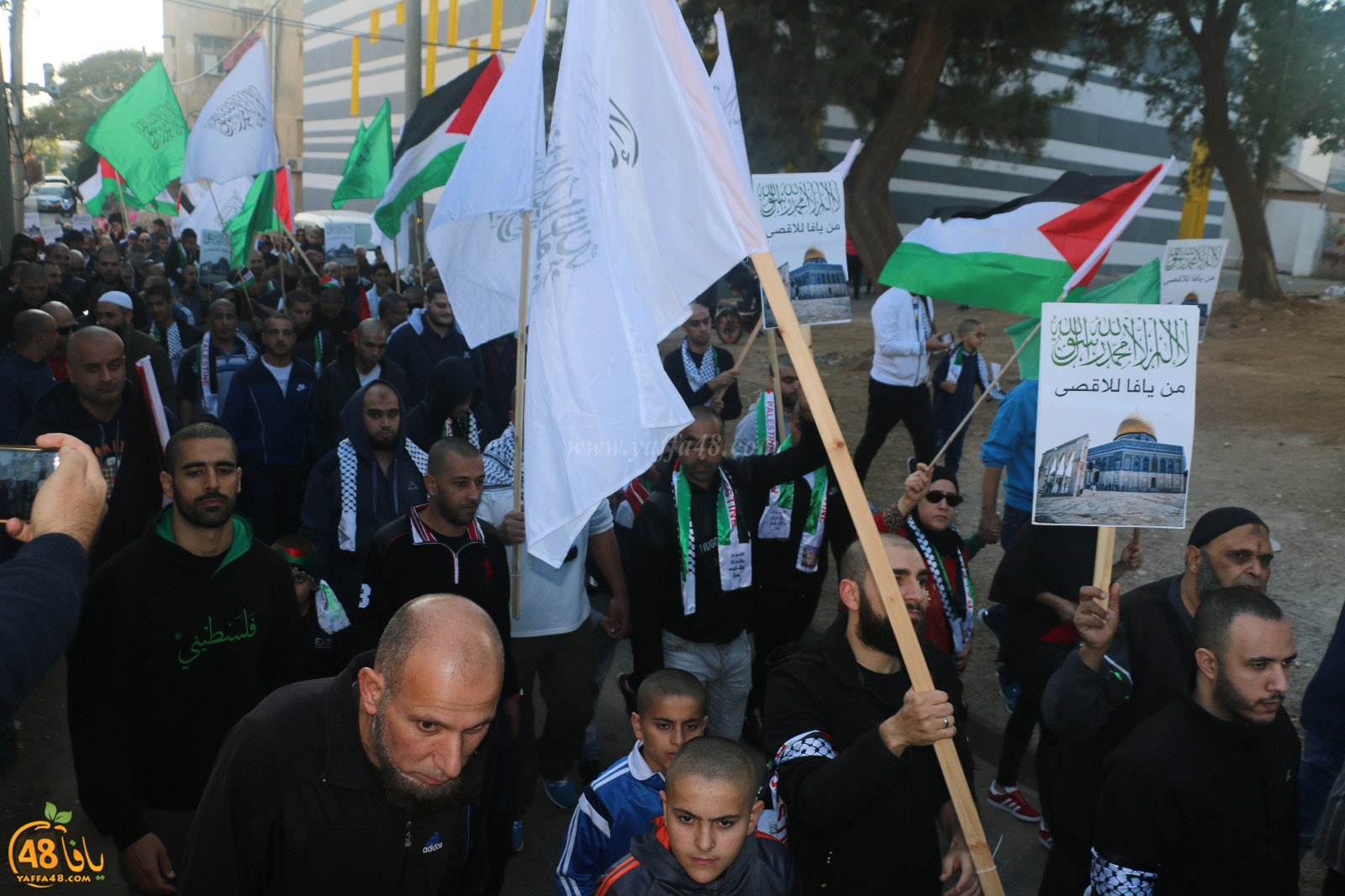 yaffa modahara jeq (13).jpg